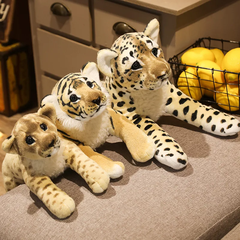 Baby Felines - Image 11