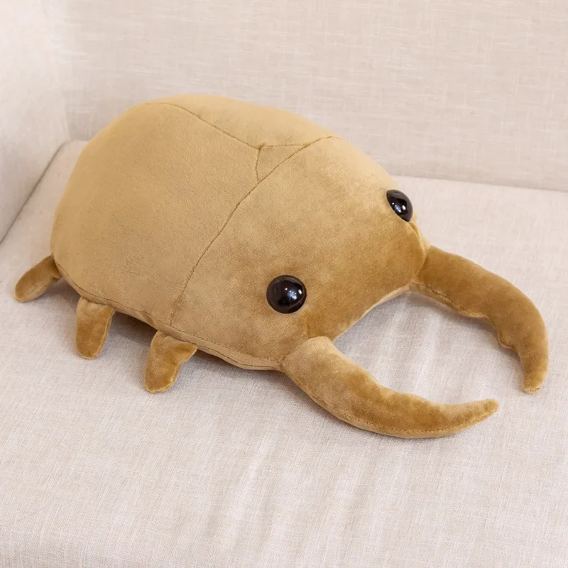 Beetle - Image 8