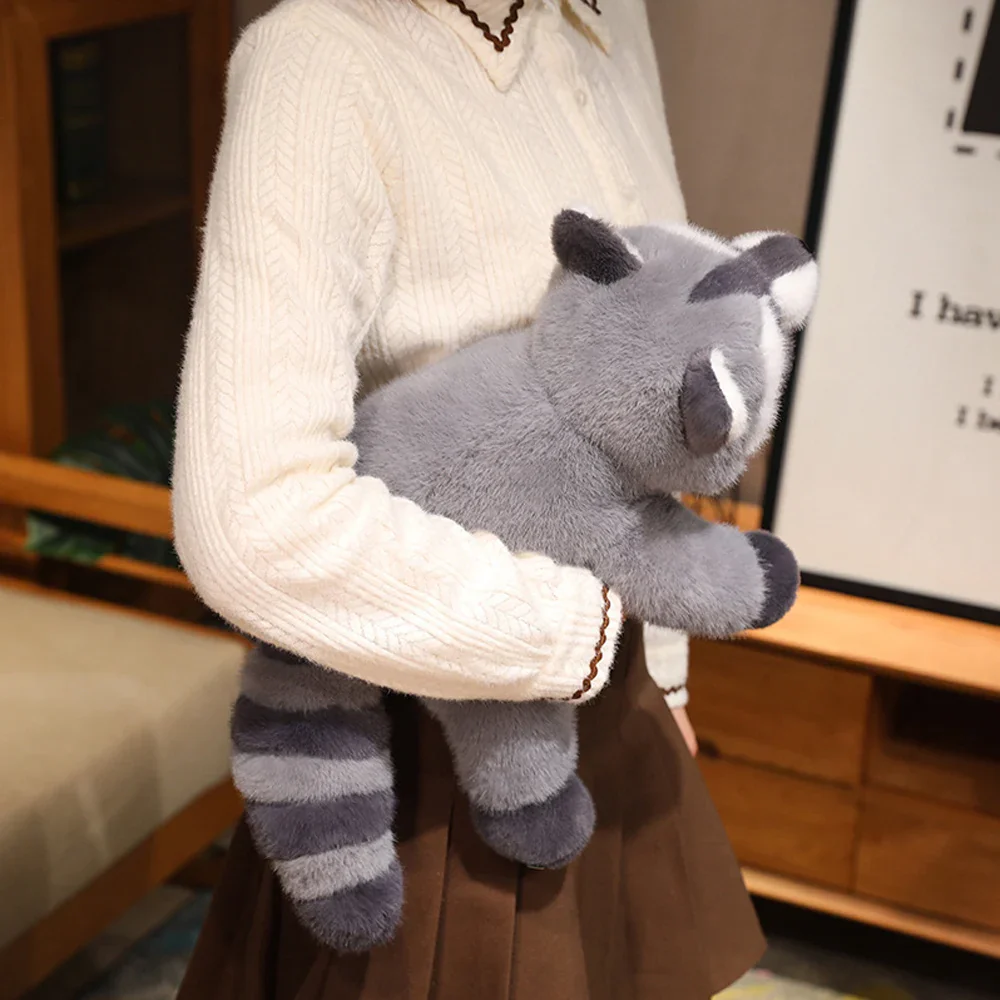 Raccoon - Image 5