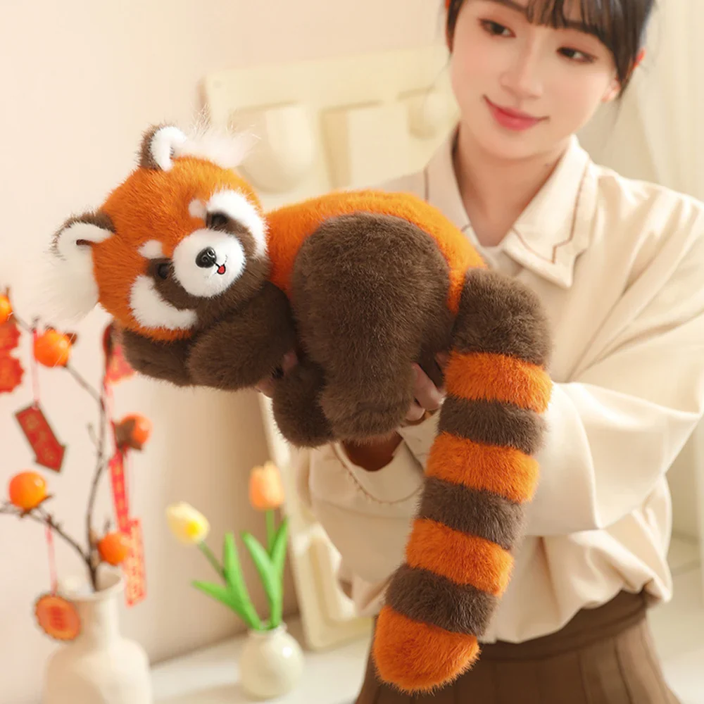 Red Raccoon